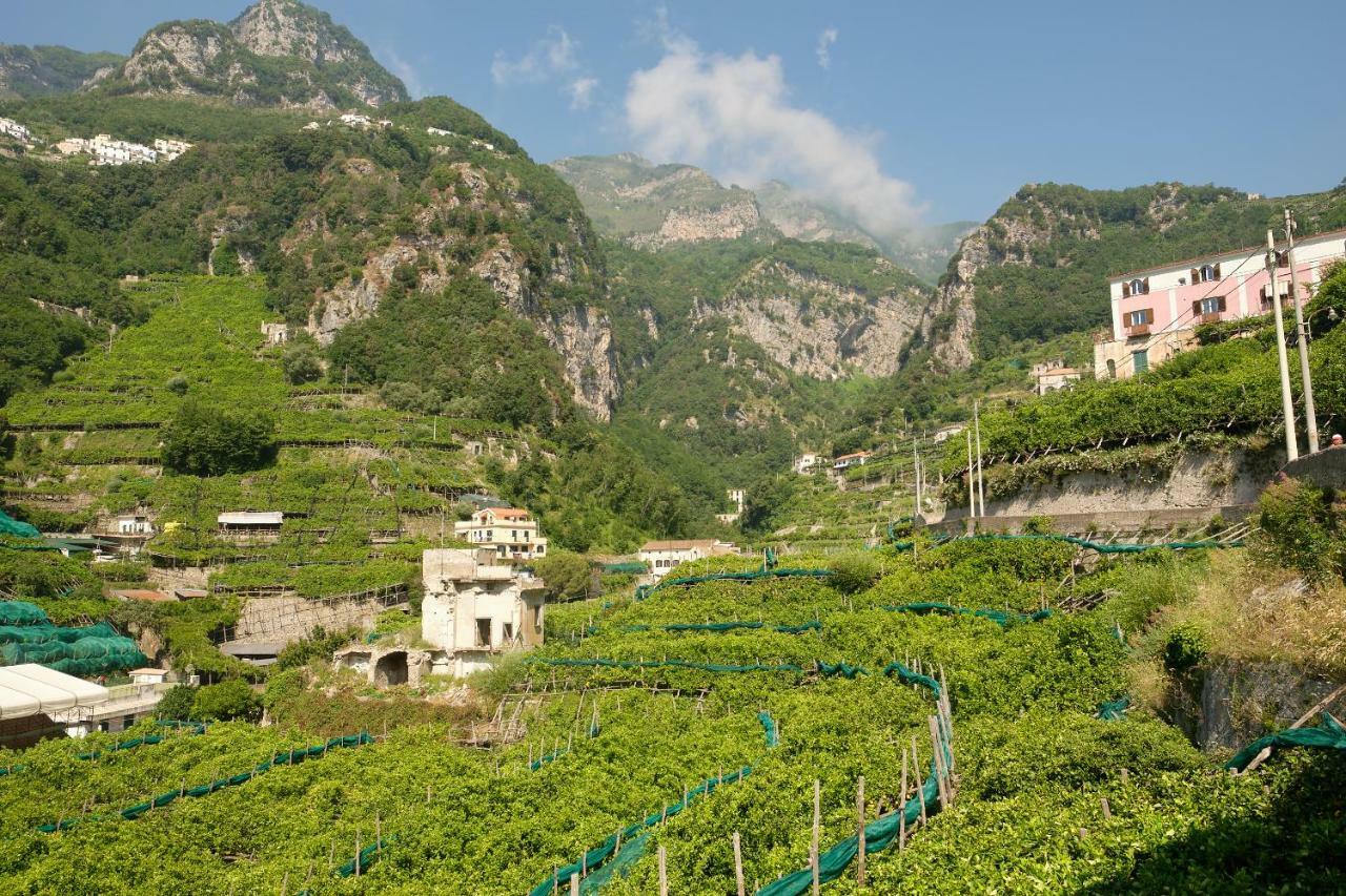 Villa Pricitella Amalfi Eksteriør billede